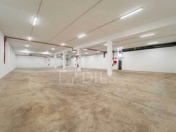 Armazém para Arrendamento em Moreira Foto 4