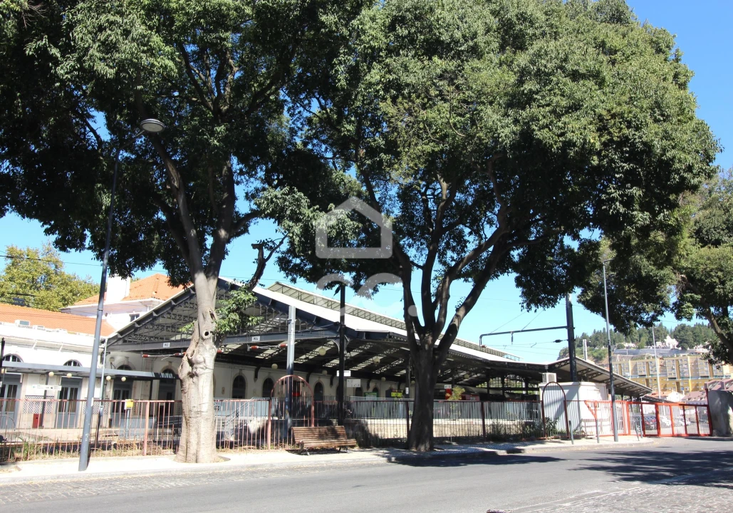 Apartamento T1 para Arrendamento em Estrela Foto 30