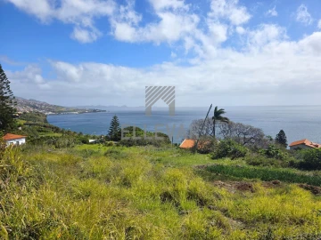 Terreno para Venda em Gaula