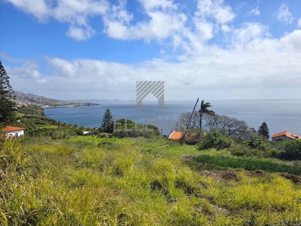 Terreno para Venda em Gaula Foto 2