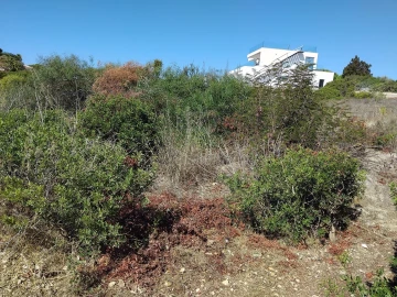 Terreno para Venda em Lagoa e Carvoeiro