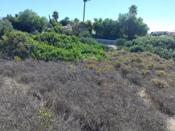 Terreno para Venda em Lagoa e Carvoeiro