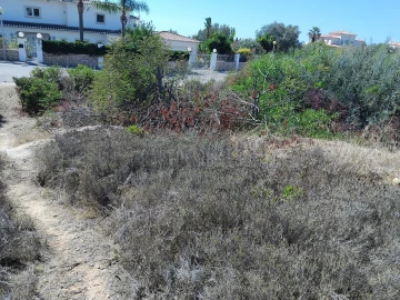 Terreno para Venda em Lagoa e Carvoeiro