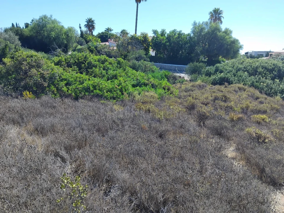 Terreno para Venda em Lagoa e Carvoeiro Foto 13