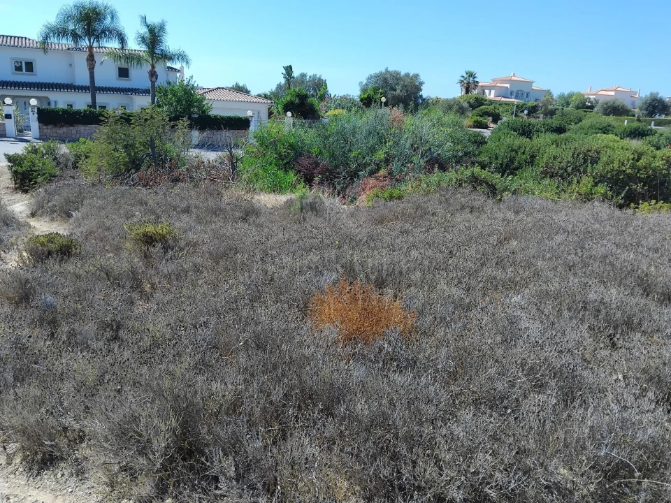 Terreno para Venda em Lagoa e Carvoeiro Foto 12