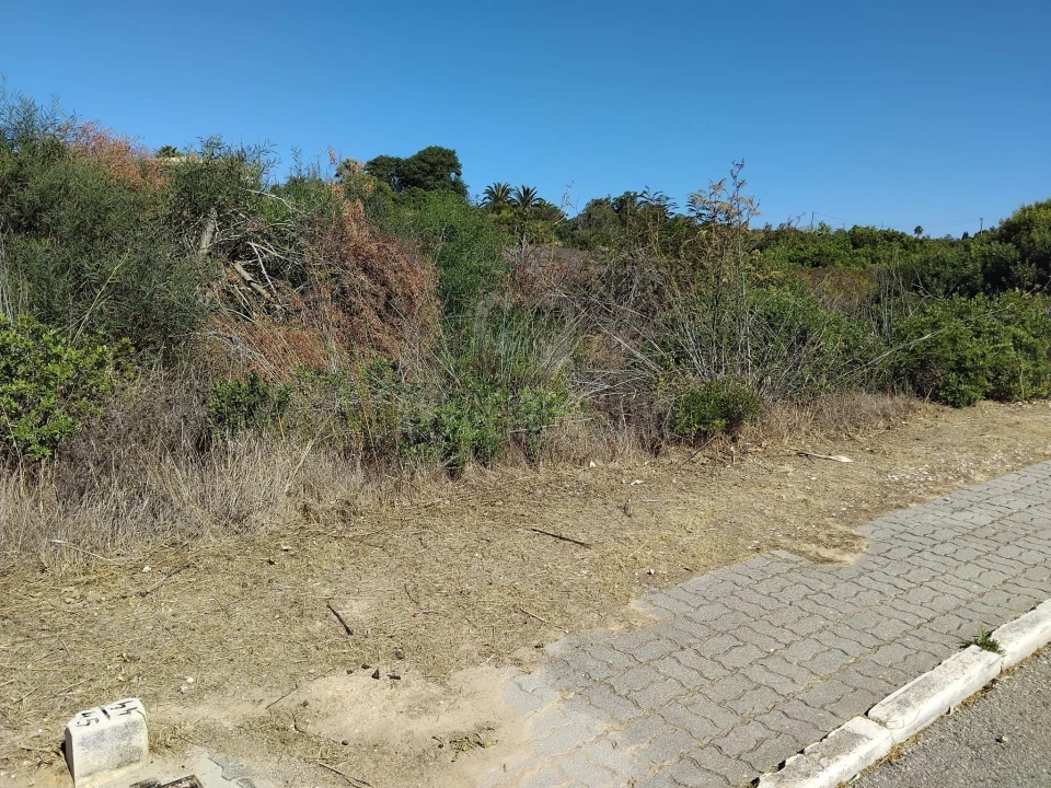 Terreno para Venda em Lagoa e Carvoeiro Foto 4