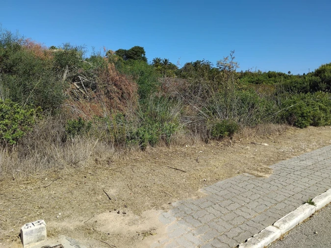 Terreno para Venda em Lagoa e Carvoeiro Foto 4