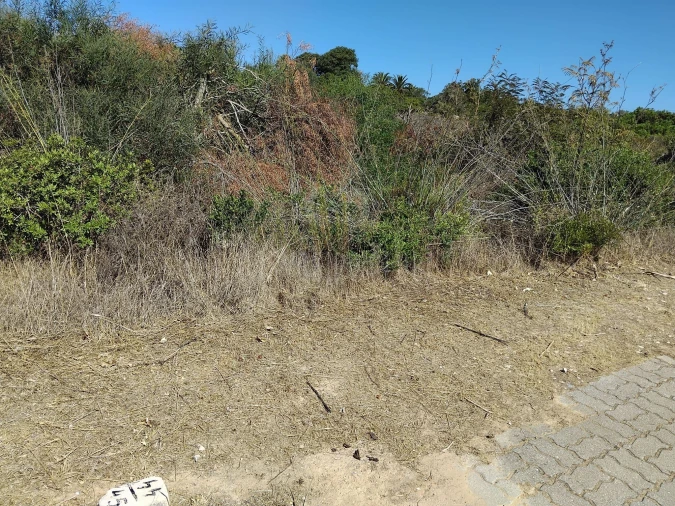 Terreno para Venda em Lagoa e Carvoeiro Foto 9