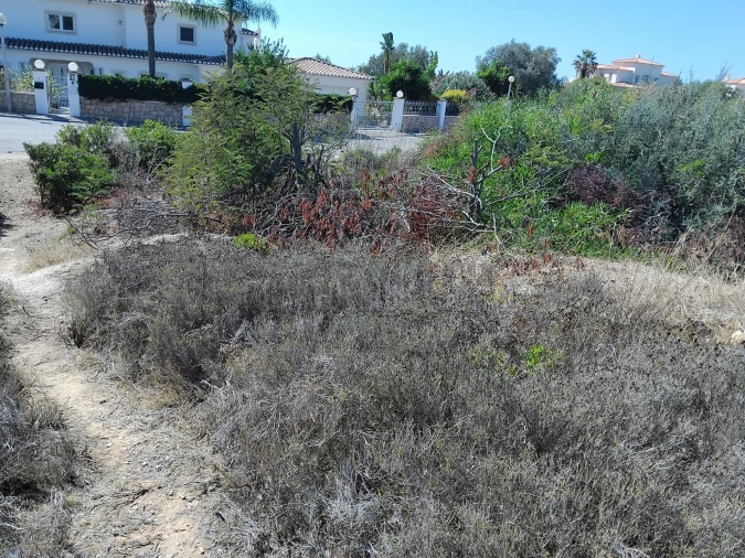 Terreno para Venda em Lagoa e Carvoeiro Foto 15