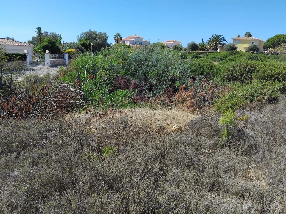 Terreno para Venda em Lagoa e Carvoeiro Foto 18