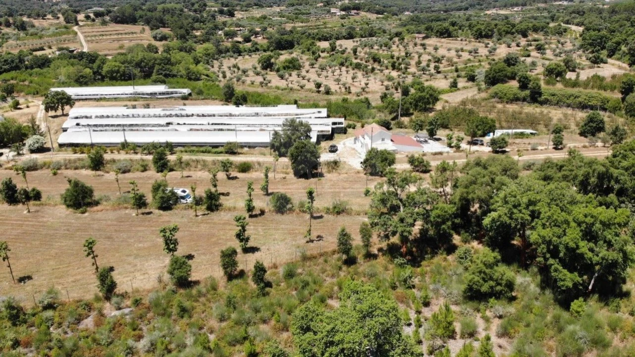 Quinta T1 para Venda em Alpedrinha Foto 38