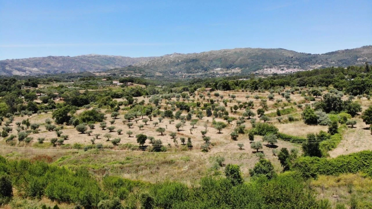 Quinta T1 para Venda em Alpedrinha Foto 43