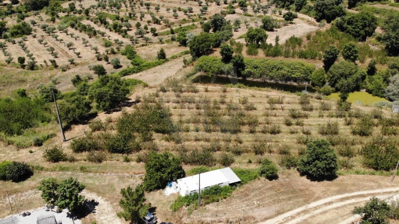 Quinta T1 para Venda em Alpedrinha Foto 42