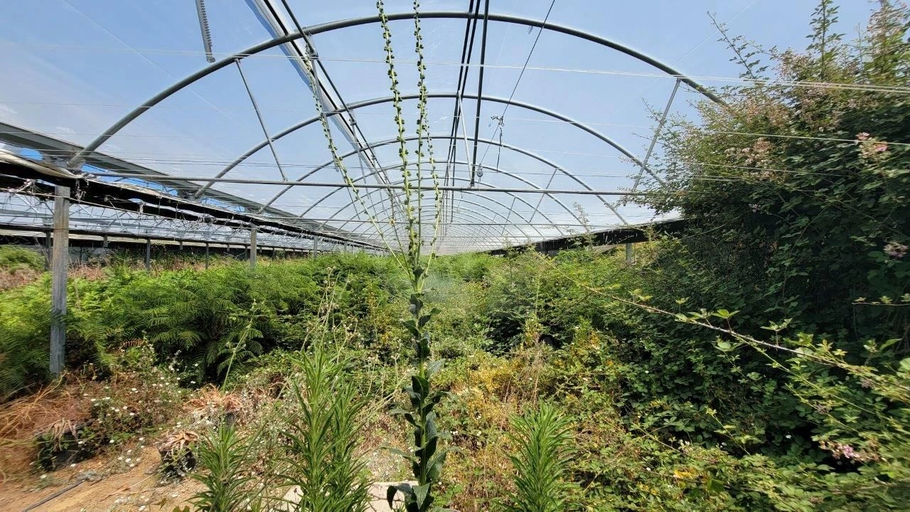 Quinta T1 para Venda em Alpedrinha Foto 28