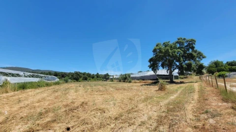 Quinta T1 para Venda em Alpedrinha