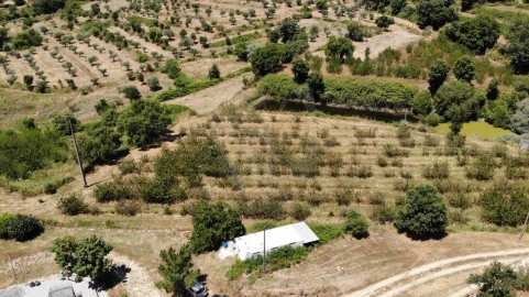 Quinta T1 para Venda em Alpedrinha