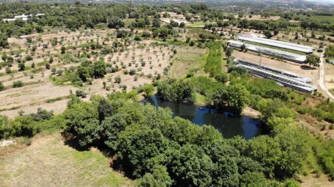 Quinta T1 para Venda em Alpedrinha