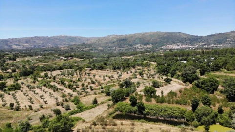 Quinta T1 para Venda em Alpedrinha