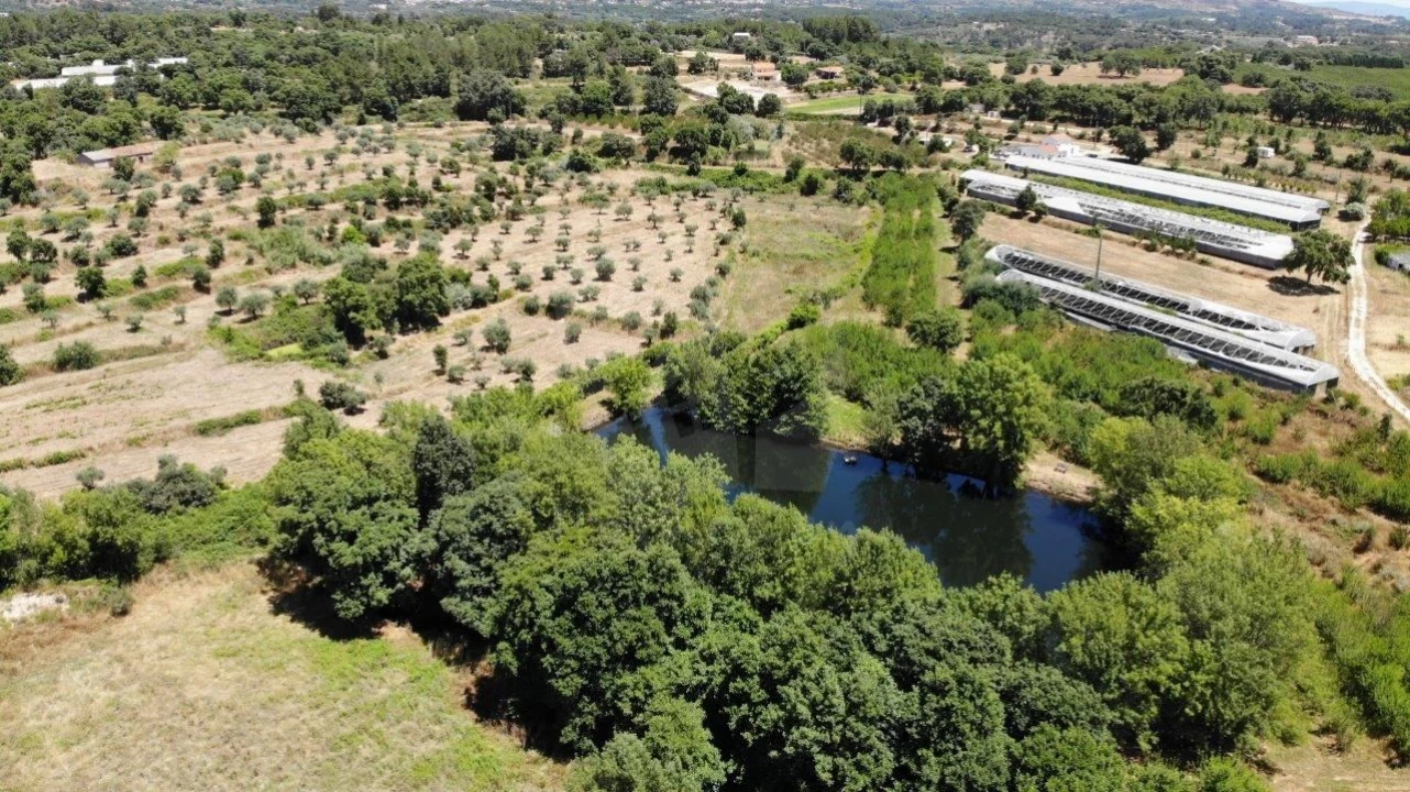 Quinta T1 para Venda em Alpedrinha Foto 36