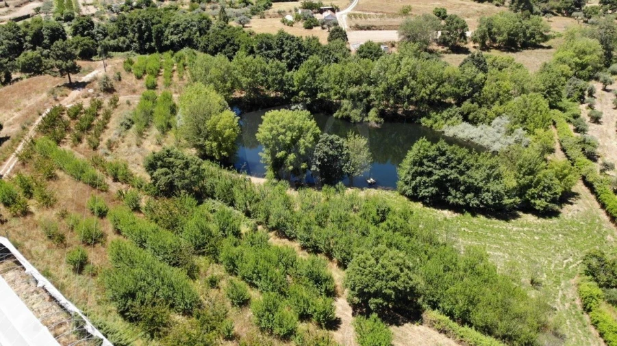 Quinta T1 para Venda em Alpedrinha Foto 34