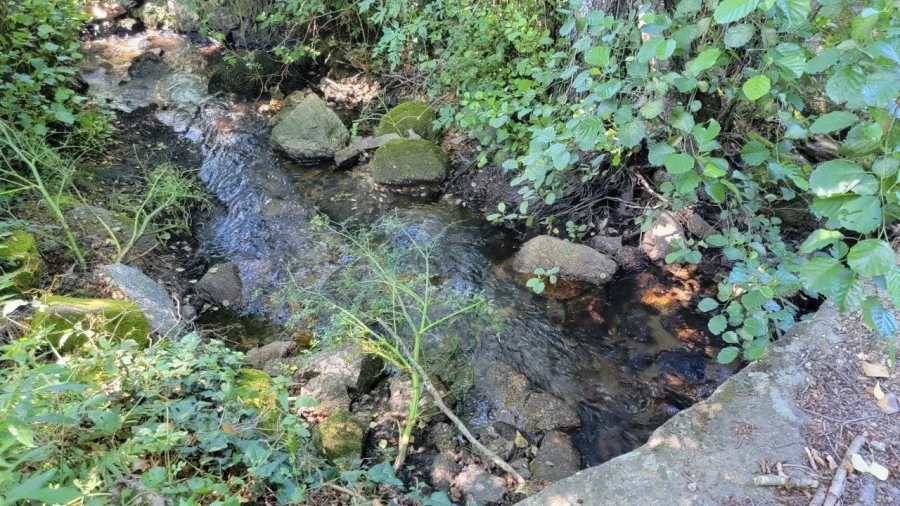 Quinta T1 para Venda em Alpedrinha Foto 24