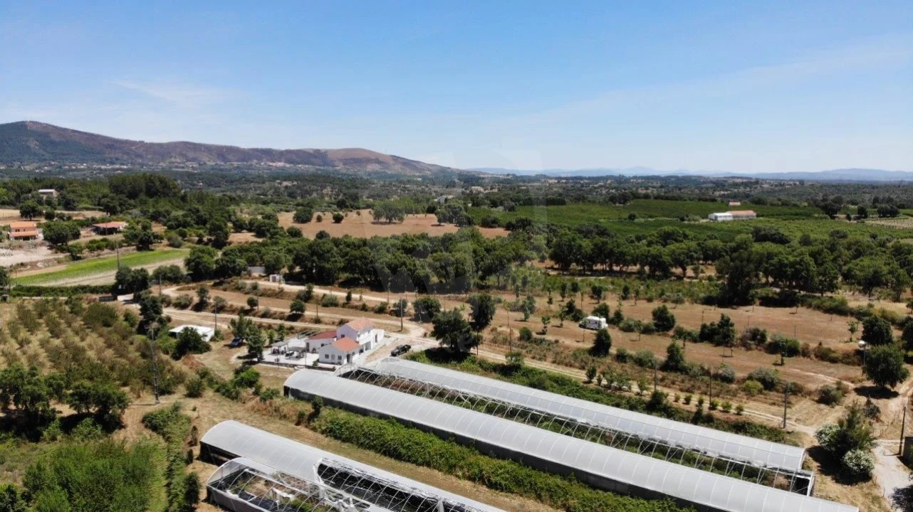 Quinta T1 para Venda em Alpedrinha Foto 37
