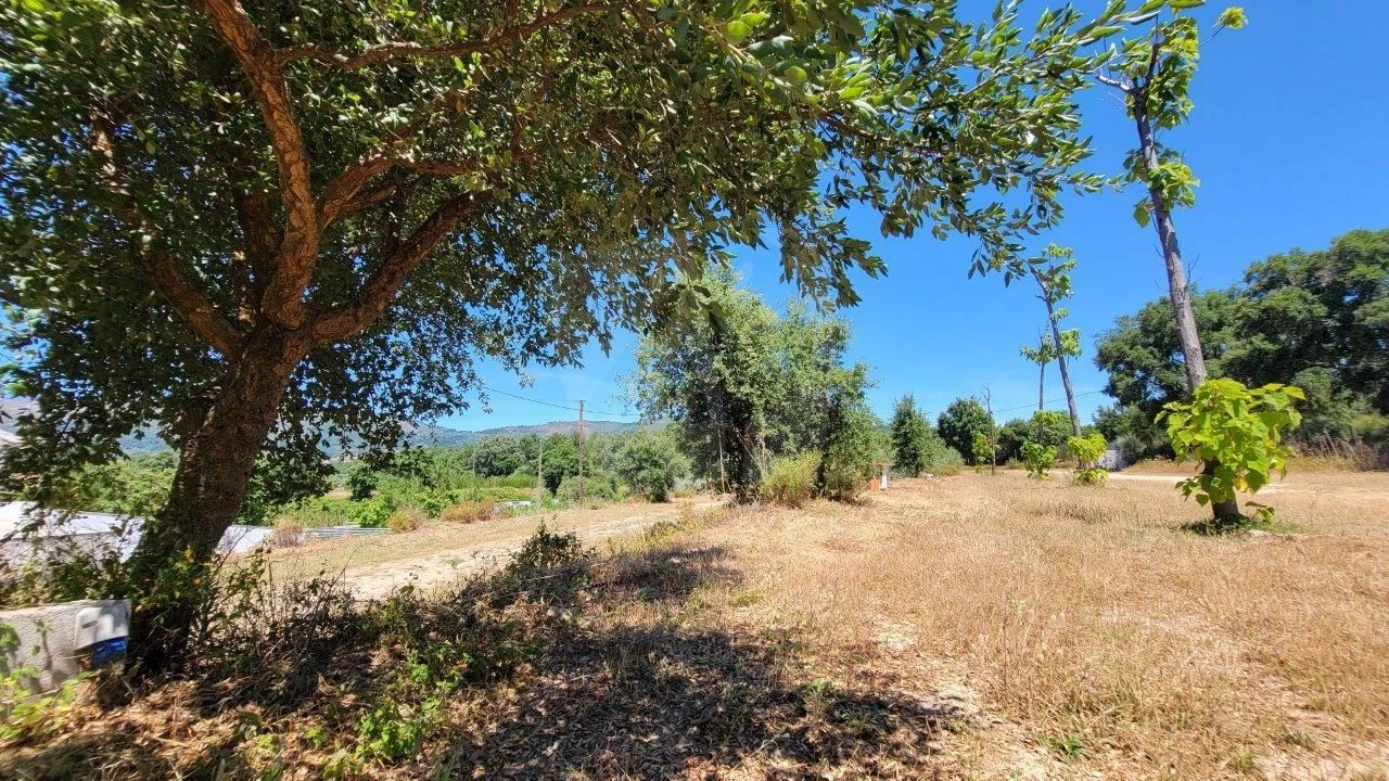 Quinta T1 para Venda em Alpedrinha Foto 31