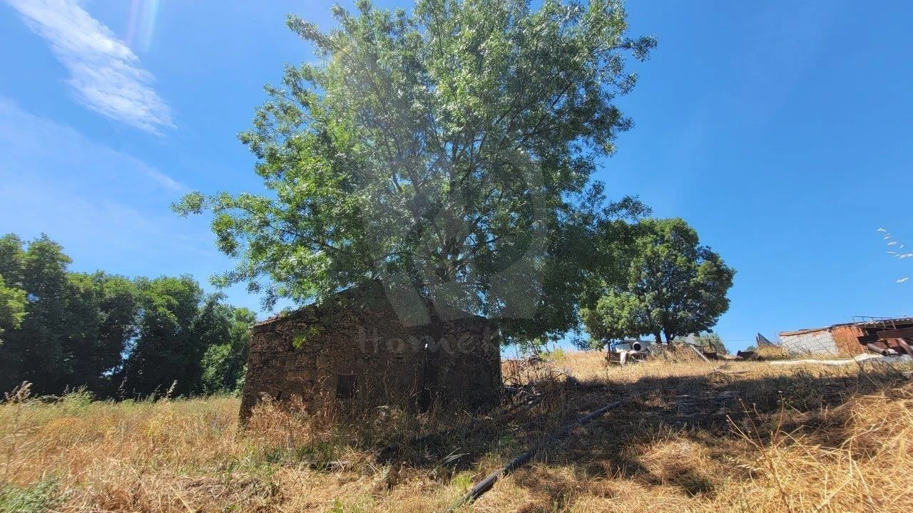 Quinta T1 para Venda em Alpedrinha Foto 26