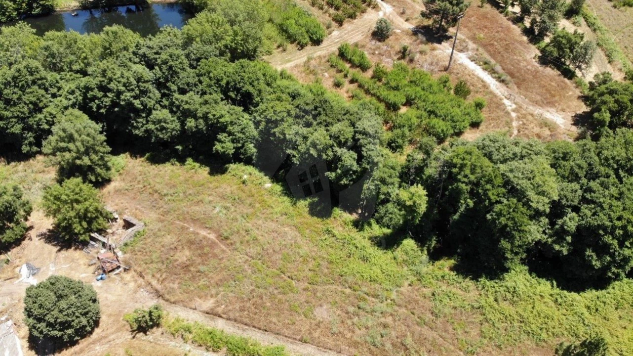 Quinta T1 para Venda em Alpedrinha Foto 35