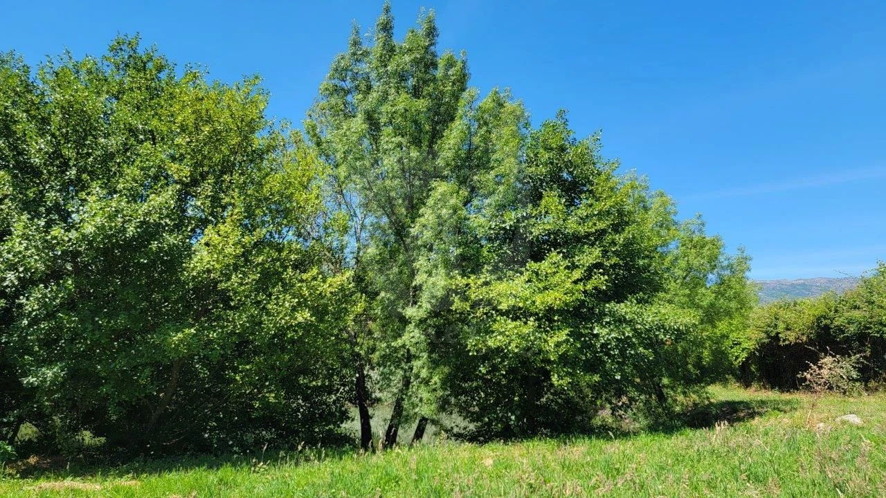 Quinta T1 para Venda em Alpedrinha Foto 21
