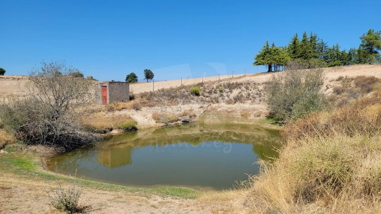 Terreno Agricola ou Rústico para Venda em Aranhas Foto 37