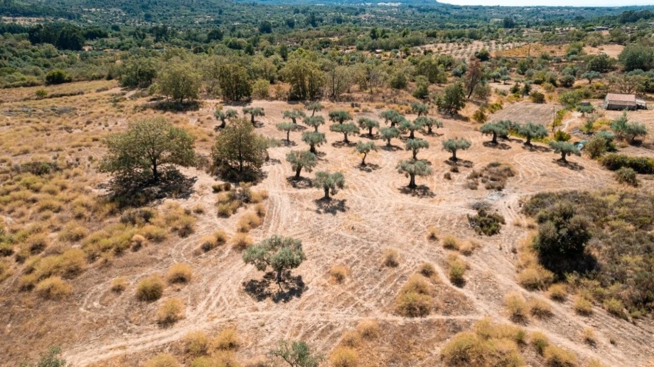 Terreno Agricola ou Rústico para Venda em Aranhas Foto 4