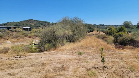 Terreno Agricola ou Rústico para Venda em Aranhas