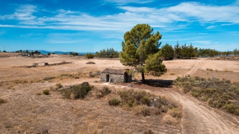 Terreno Agricola ou Rústico para Venda em Aranhas