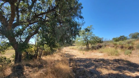 Terreno Agricola ou Rústico para Venda em Aranhas