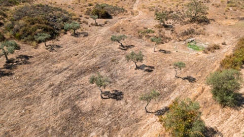 Terreno Agricola ou Rústico para Venda em Aranhas