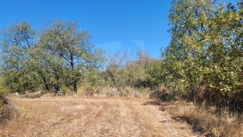 Terreno Agricola ou Rústico para Venda em Aranhas