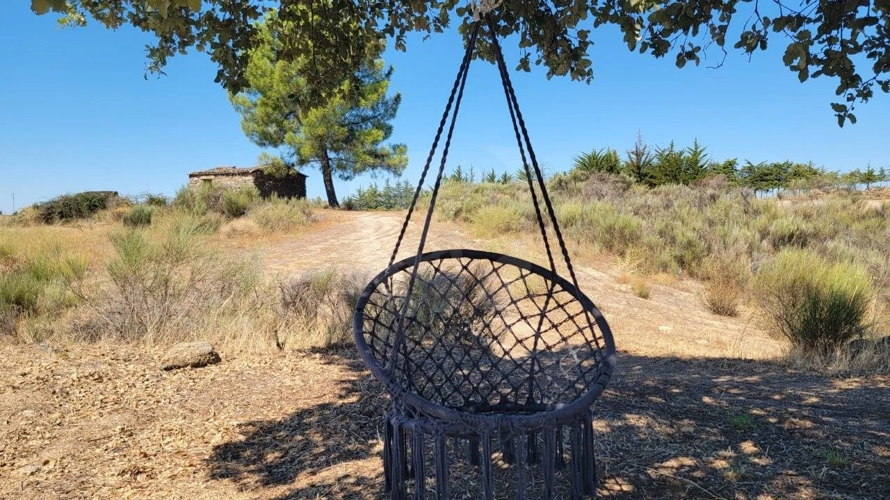Terreno Agricola ou Rústico para Venda em Aranhas Foto 40