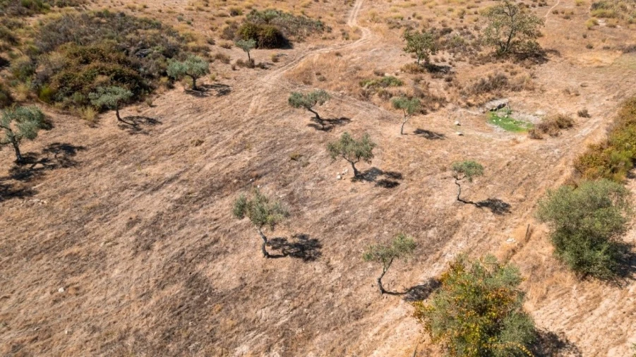 Terreno Agricola ou Rústico para Venda em Aranhas Foto 30