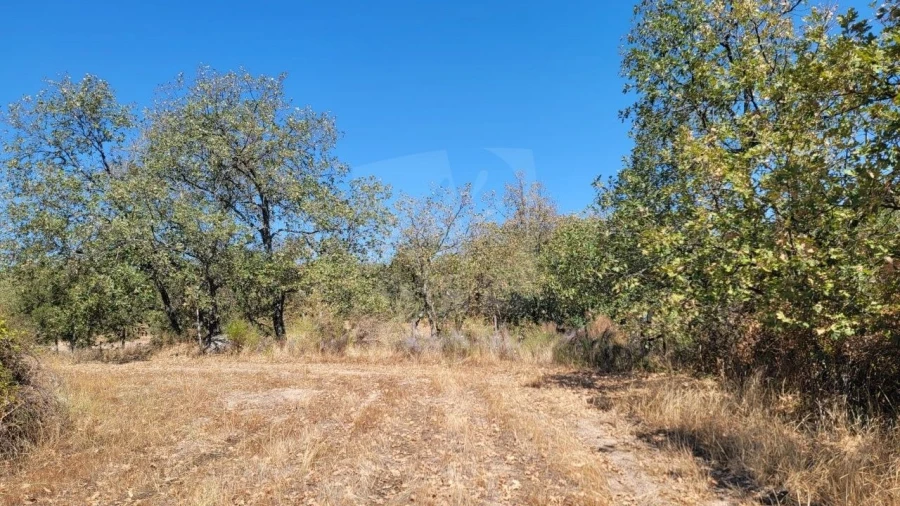 Terreno Agricola ou Rústico para Venda em Aranhas Foto 44