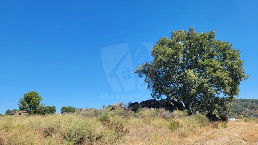 Terreno Agricola ou Rústico para Venda em Aranhas Foto 41