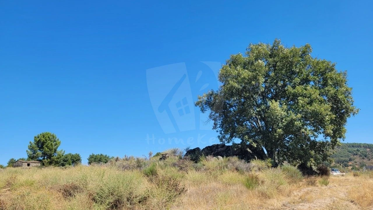 Terreno Agricola ou Rústico para Venda em Aranhas Foto 41