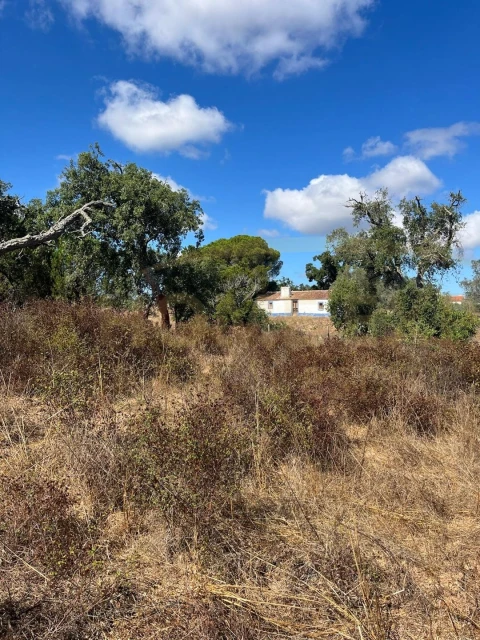 Terreno para Venda em São Francisco da Serra