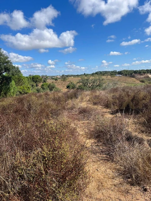 Terreno para Venda em São Francisco da Serra