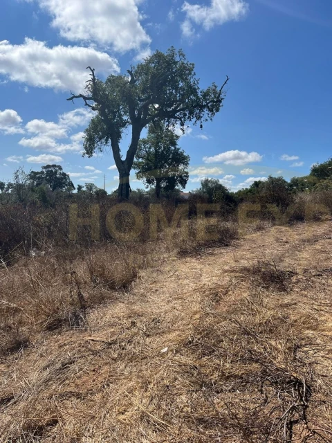 Terreno para Venda em São Francisco da Serra