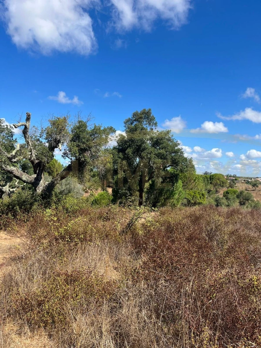 Terreno para Venda em São Francisco da Serra Foto 10