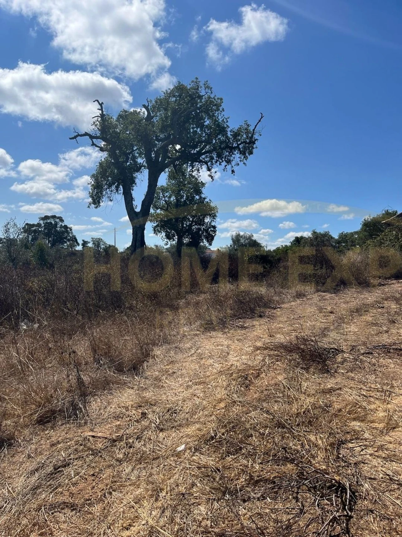 Terreno para Venda em São Francisco da Serra Foto 12