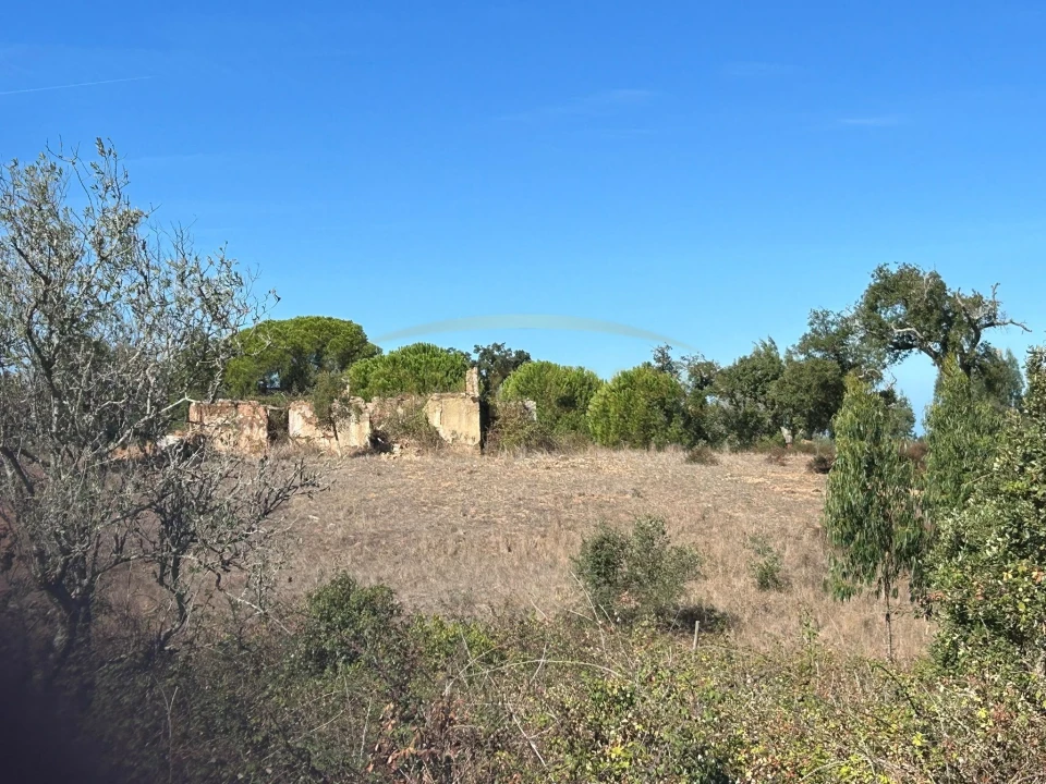 Terreno para Venda em São Francisco da Serra Foto 1