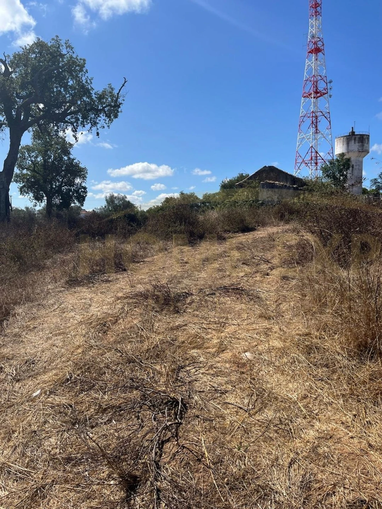 Terreno para Venda em São Francisco da Serra Foto 6