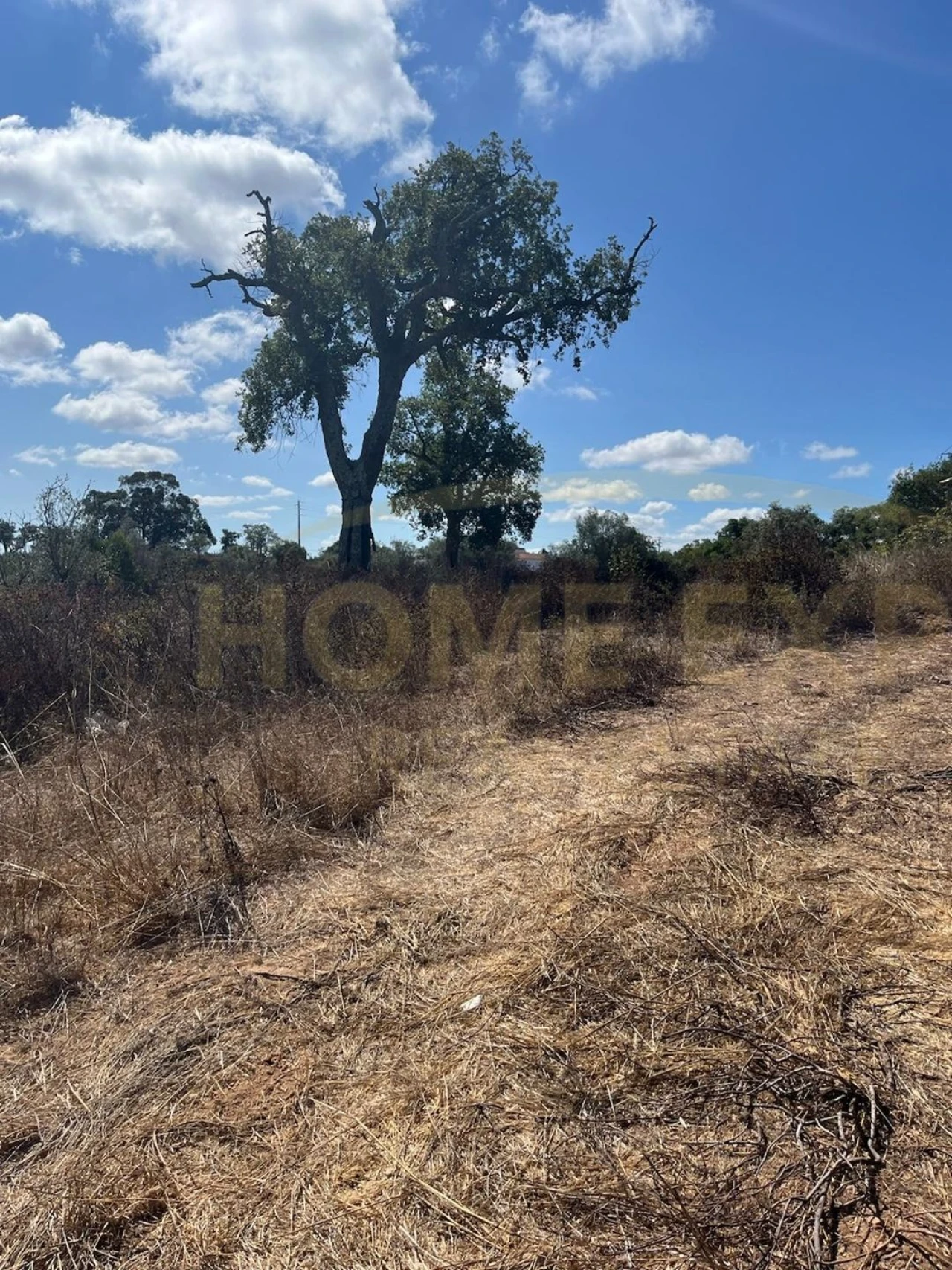 Terreno para Venda em São Francisco da Serra Foto 5